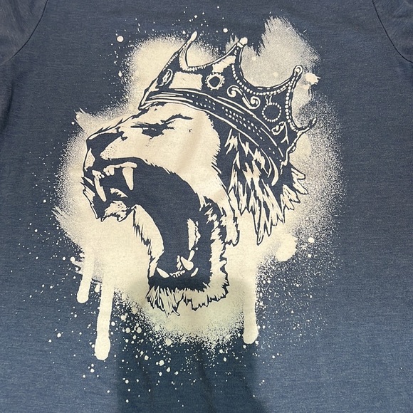 Cat & Jack 3 Shirt Bundle Lion Dinosaur Snake & Solid T Shirt Medium 8-10 - Picture 16 of 16